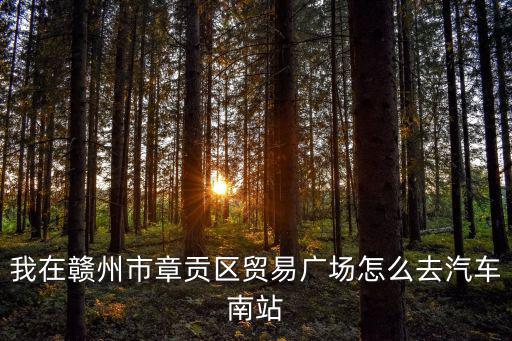 我在贛州市章貢區(qū)貿(mào)易廣場(chǎng)怎么去汽車(chē)南站