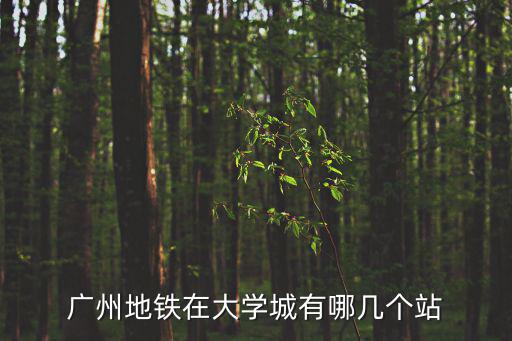 大學城地鐵站，松江大學城地鐵幾號線