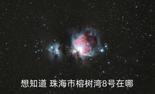 想知道 珠海市榕樹灣8號在哪