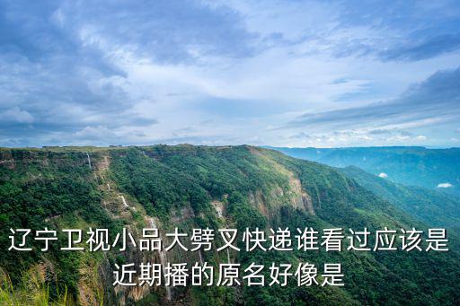 遼寧衛視小品大劈叉快遞誰看過應該是近期播的原名好像是