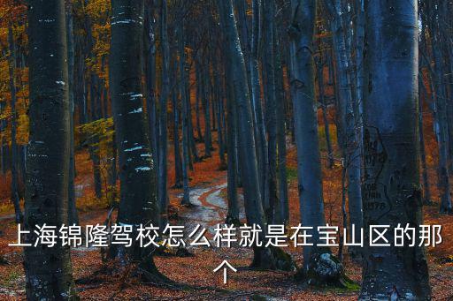上海錦隆駕校怎么樣就是在寶山區的那個