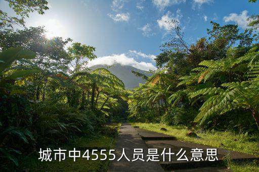 城市中4555人員是什么意思
