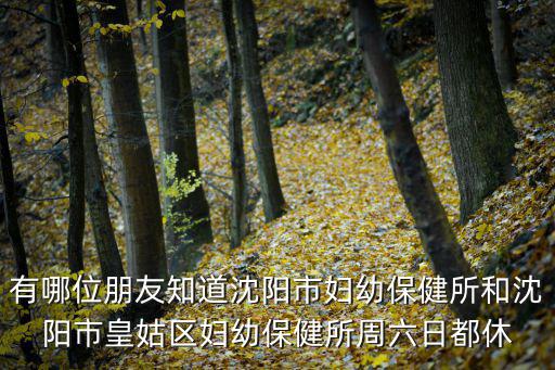 沈陽婦幼，想知道沈陽市 沈陽市婦幼 在哪