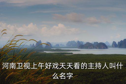 河南衛視上午好戲天天看的主持人叫什么名字