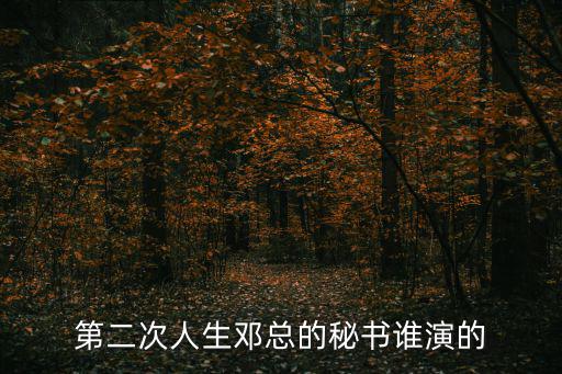 第二次人生鄧總的秘書誰(shuí)演的