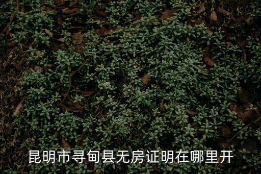 無房證明在哪里開，無房證明怎么開