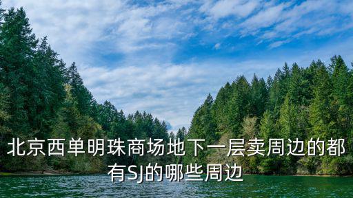 北京西單明珠商場地下一層賣周邊的都有SJ的哪些周邊