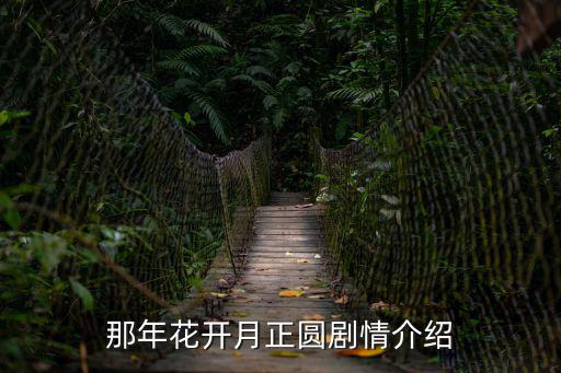 那年花開月正圓劇情介紹