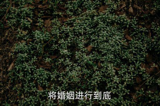 將婚姻進行到底