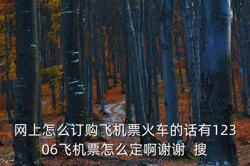 網(wǎng)上怎么訂購飛機票火車的話有12306飛機票怎么定啊謝謝  搜