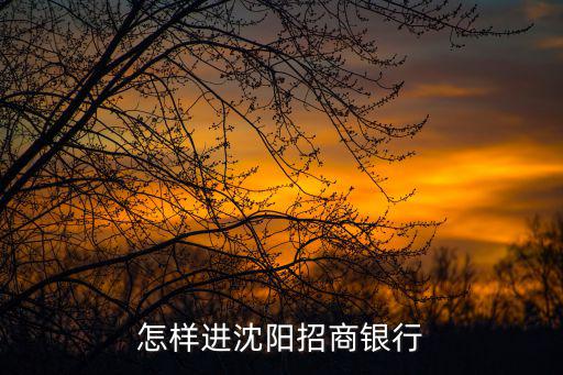 沈陽招商銀行，沈陽市哪有招商銀行