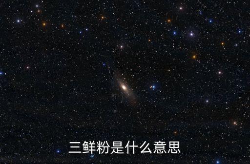 三鮮粉是什么意思