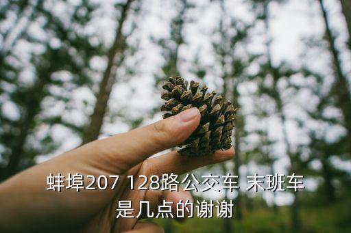 128路，蚌埠207 128路公交車 末班車是幾點的謝謝