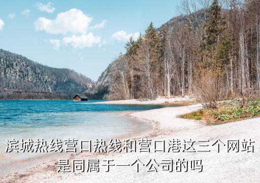 濱城熱線營(yíng)口熱線和營(yíng)口港這三個(gè)網(wǎng)站是同屬于一個(gè)公司的嗎