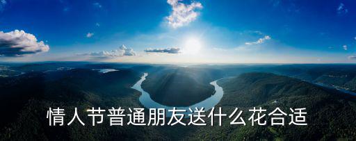 情人節普通朋友送什么花合適