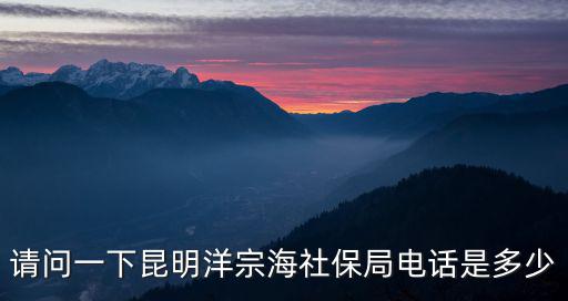 請(qǐng)問一下昆明洋宗海社保局電話是多少