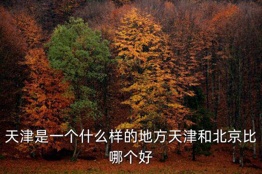 天津是一個什么樣的地方天津和北京比哪個好