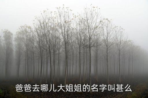 爸爸去哪兒大姐姐的名字叫甚么