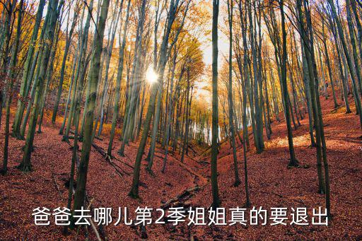 爸爸去哪兒姐姐，爸爸去哪兒大姐姐的名字叫甚么