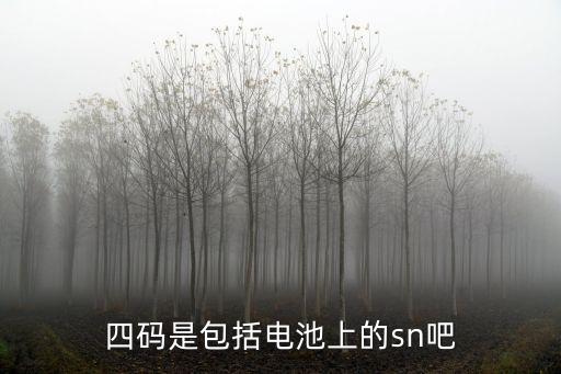 四碼是包括電池上的sn吧