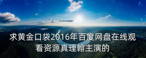 求黃金口袋2016年百度網盤在線觀看資源真理翰主演的