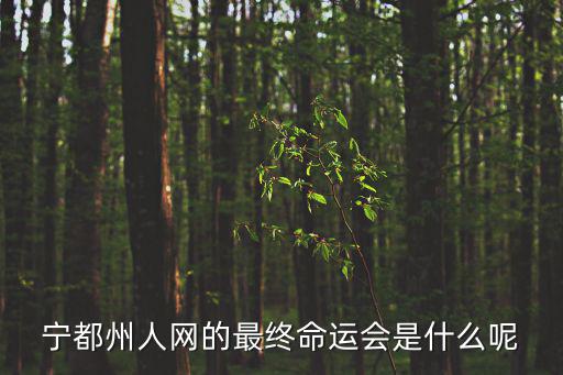 寧都州人，寧都縣哪個網站最大影響最大呀是不是寧都州人