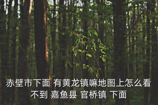 赤壁市下面 有黃龍鎮嘛地圖上怎么看不到 嘉魚縣 官橋鎮 下面