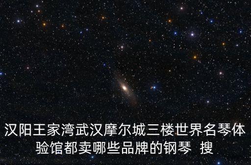 漢陽王家灣武漢摩爾城三樓世界名琴體驗館都賣哪些品牌的鋼琴  搜