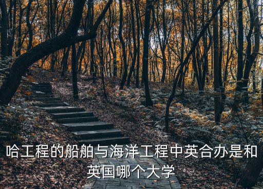 哈工程的船舶與海洋工程中英合辦是和英國哪個大學