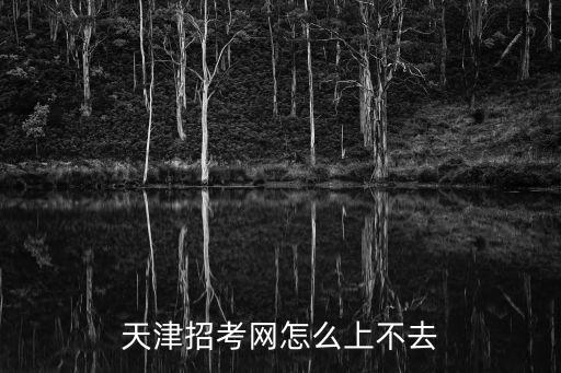 天津招考網怎么上不去