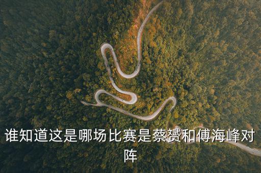 誰知道這是哪場比賽是蔡赟和傅海峰對陣