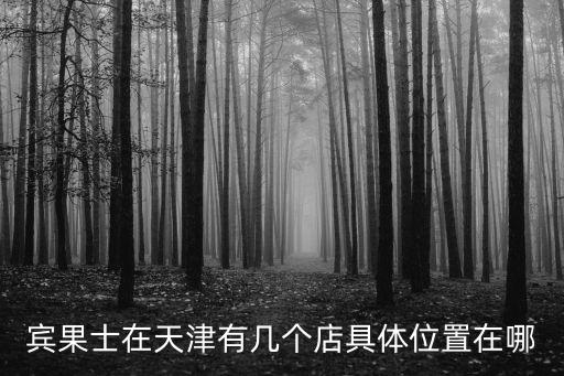 賓果士在天津有幾個店具體位置在哪