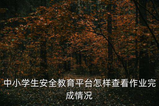 中小學(xué)生安全教育平臺(tái)怎樣查看作業(yè)完成情況
