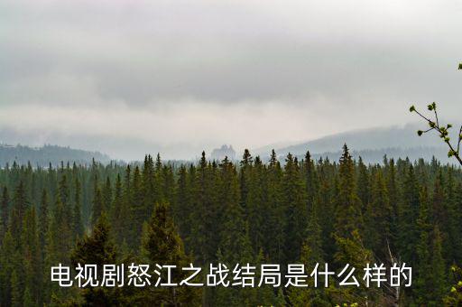 電視劇怒江之戰結局是什么樣的
