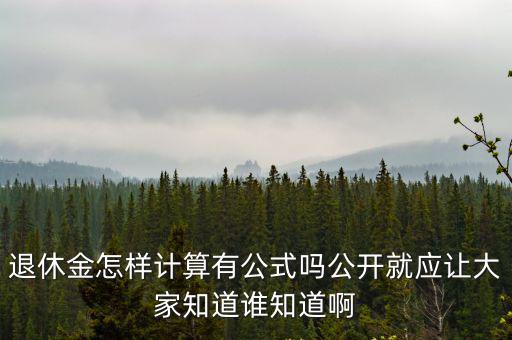 退休金怎樣計算有公式嗎公開就應讓大家知道誰知道啊