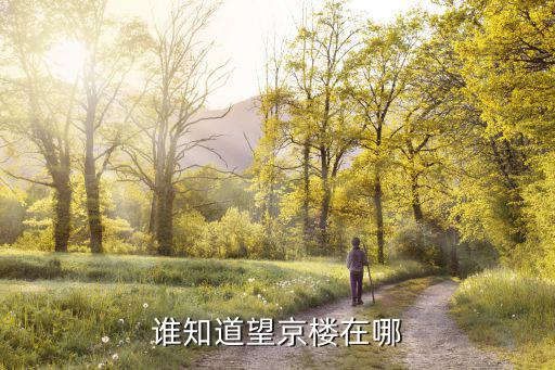 望京樓，誰知道望京樓在哪