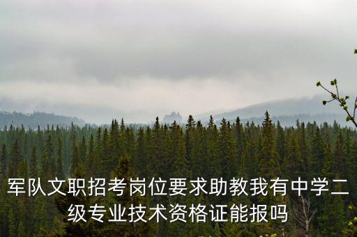 軍隊文職崗位表，軍隊文職招考崗位要求助教我有中學二級專業技術資格證能報嗎