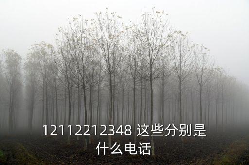 交通咨詢電話，12112212348 這些分別是什么電話