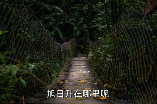 旭日升在哪里呢