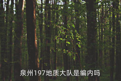 泉州197地質(zhì)大隊是編內(nèi)嗎