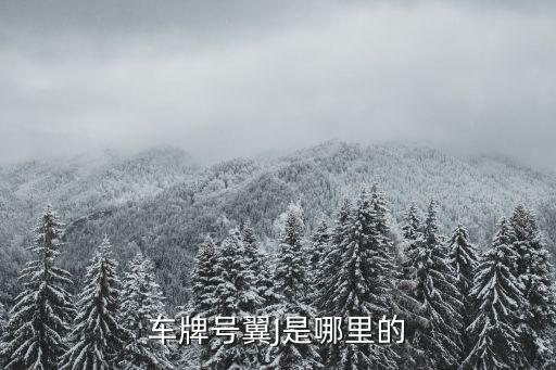 車牌號翼J是哪里的