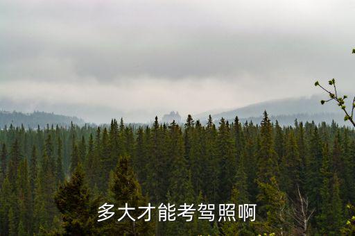 多大才能考駕照啊