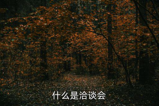 什么是洽談會