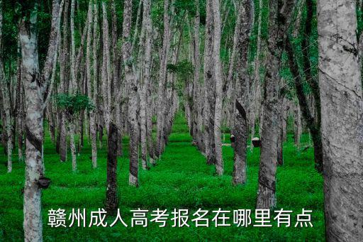 贛州成人高考報名在哪里有點