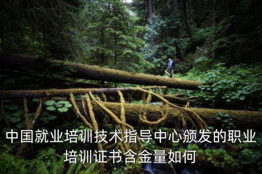 中國就業培訓技術指導中心頒發的職業培訓證書含金量如何