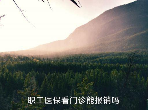 職工醫(yī)保看門診能報銷嗎