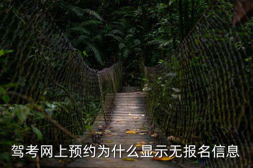駕考網上預約為什么顯示無報名信息