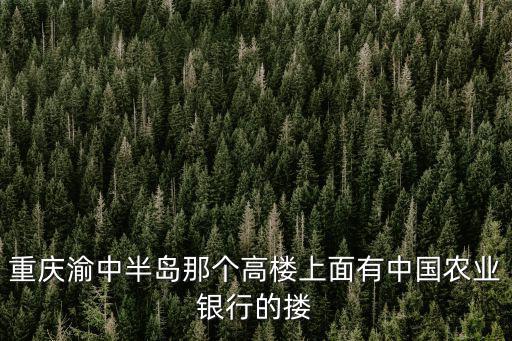 重慶渝中半島那個高樓上面有中國農(nóng)業(yè)銀行的摟