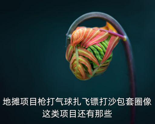 地攤項目槍打氣球扎飛鏢打沙包套圈像這類項目還有那些
