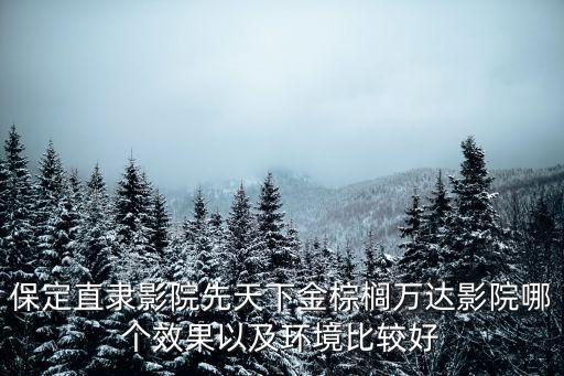 保定直隸影院先天下金棕櫚萬達影院哪個效果以及環境比較好